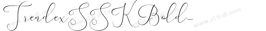 TrendexSSK Bold字体转换